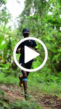 BIB:  <button type="button" onclick="openModal(26822364)" class="btn btn-primary btn-sm float-right" data-toggle="modal" data-target=".modal-high-quality">
                <i class="fa fa-download"></i> Download
                </button>